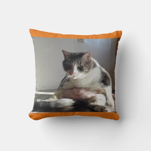 Det feta tabby kattfotoet kudder på kudde (Framsida)