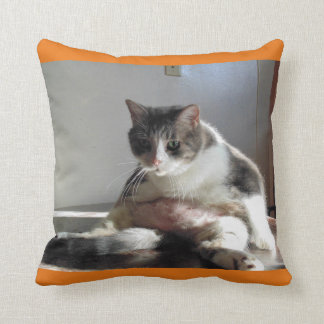 Det feta tabby kattfotoet kudder på kudde