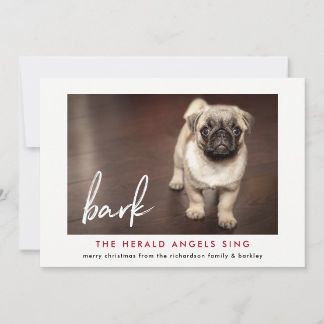 Det fina julfotokortet från Hund | Röd Julkort (Framsida)