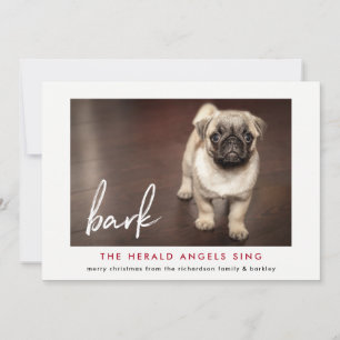 Det fina julfotokortet från Hund   Röd Julkort