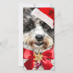 Det fina julhälsningskortet i Santa Hund Julkort