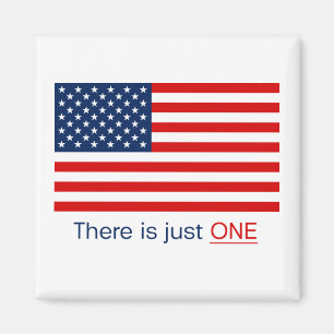 Det finns bara en amerikansk flagga. Magnet