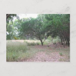 Det finns en dinosaurie i skogen.. vykort