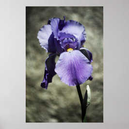 Det finns en utskrift av skönhet poster