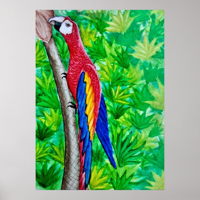 Det finns ett Scarlet Macaw i Träd! Poster (Framsidan)