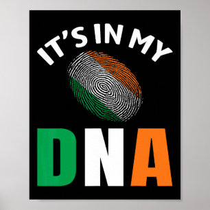 Det Finns I Min Dna Irland Irlandsk Flagga Gåvor M Poster