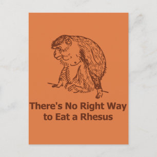 Det finns ingen höger att äta en rhesus vykort
