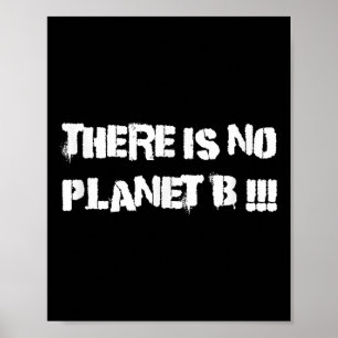 Det finns ingen planet B: Klimatförändringsmiljö Poster