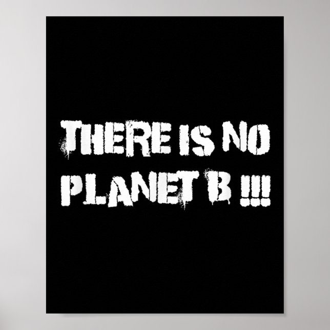 Det finns ingen planet B: Klimatförändringsmiljö Poster (Framsidan)
