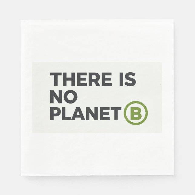 Det finns ingen planet B Miljöaktivist  Pappersservett (Framsidan)