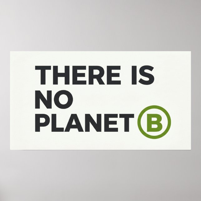 Det finns ingen planet B Miljöaktivist  Poster (Framsidan)