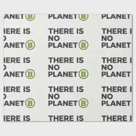 Det finns ingen planet B Miljöaktivist Presentpapper