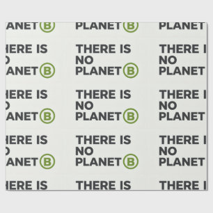 Det finns ingen planet B Miljöaktivist Presentpapper
