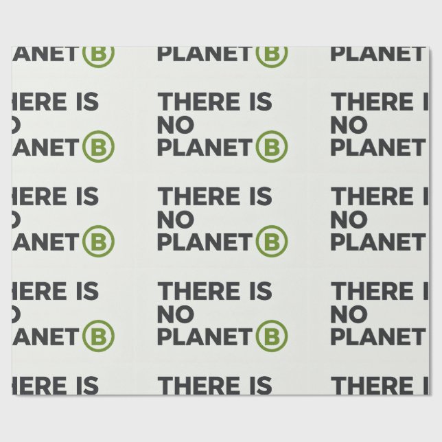 Det finns ingen planet B Miljöaktivist  Presentpapper (Platt)