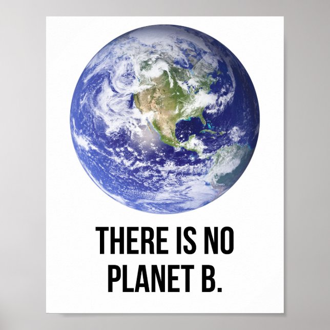 Det finns ingen Planet B Poster (Framsidan)