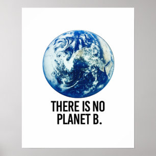 Det finns ingen Planet B Poster