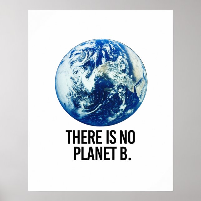 Det finns ingen Planet B Poster (Framsidan)