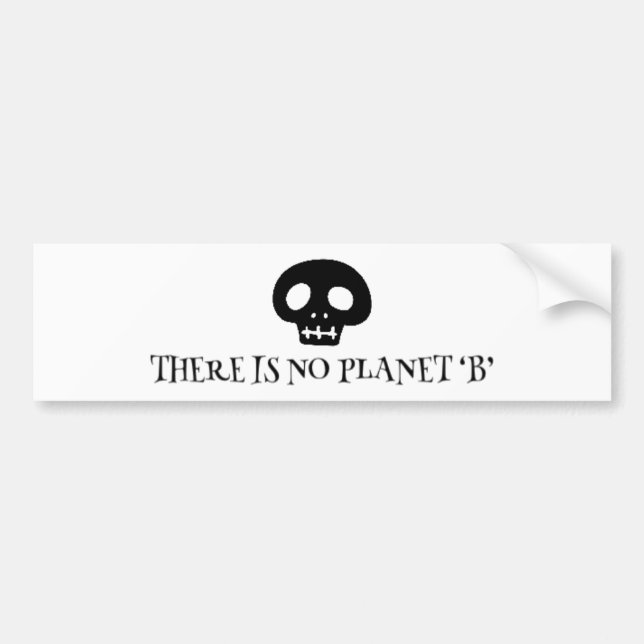 Det finns ingen planet B T-Shirt Bildekal (Framsidan)