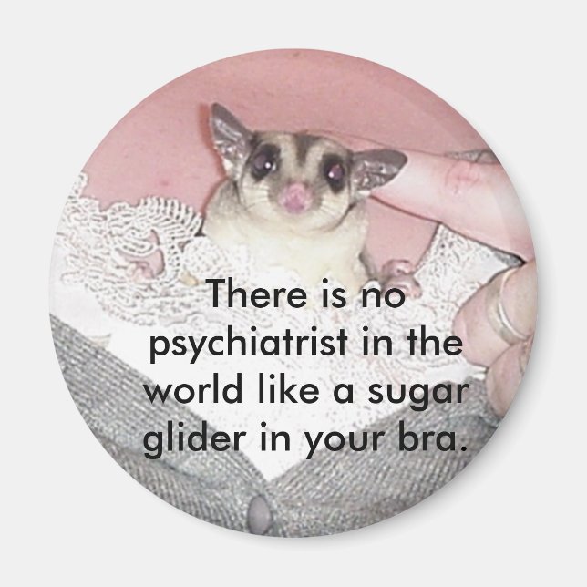 Det finns ingen psykiater i... magnet (Framsidan)