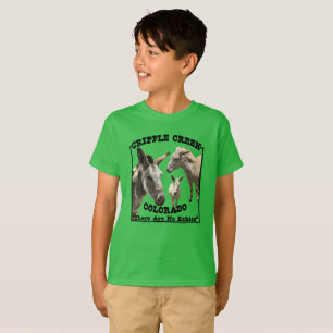 Det finns ingen Spädbarn T Shirt