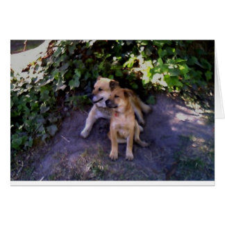 Det finns ingen ställe som jag hellre skulle vara hälsningskort