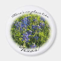 "Det finns ingen Ställe som Texas" Magnet