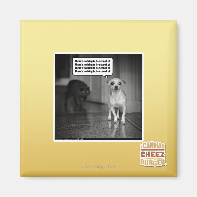 Det finns inget att skrämma om magnet (Framsidan)