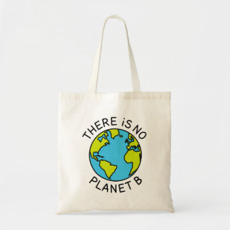 Det finns inget miljökoncept för planeten B2 Tygkasse