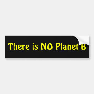 Det finns inte NÅGOT planet B Bildekal