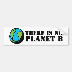 DET FINNS INTE NÅGOT PLANET B BILDEKAL