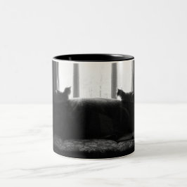 Det finns något som är bättre ut där Två-Tonad mugg