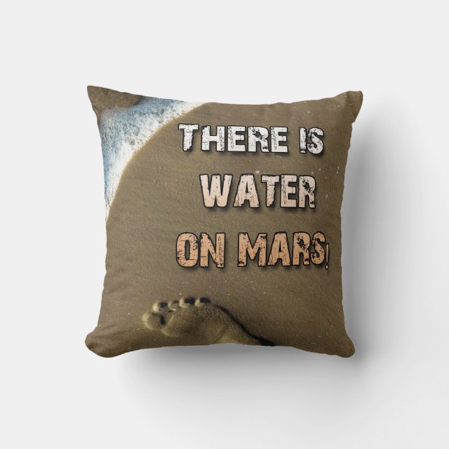 Det finns Vatten på Mars Pillow! Kudde (Framsida)