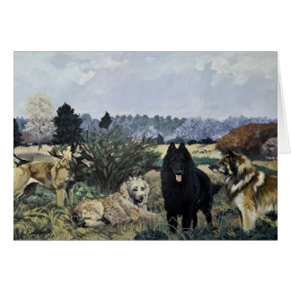 Det fyra belgiska kortet OBS kort