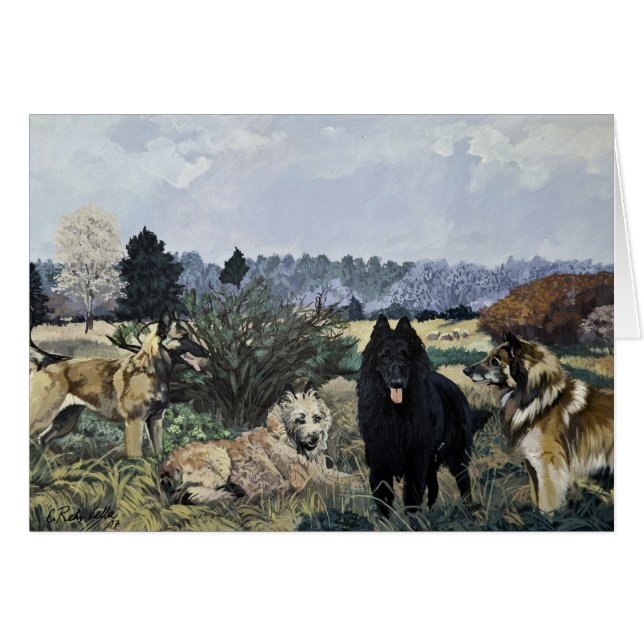 Det fyra belgiska kortet OBS kort (Framsidan Horizontal)