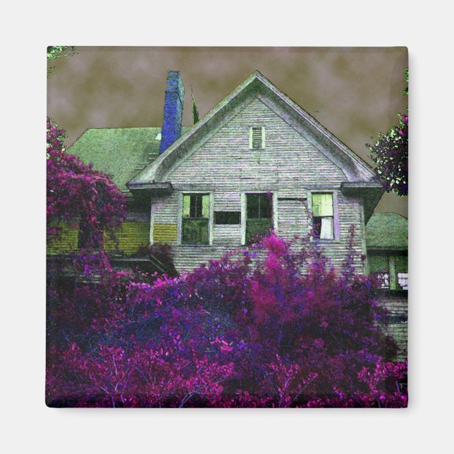 Det gamla huset Magnet (Framsidan)