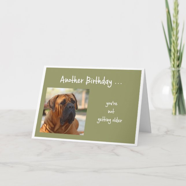 Det går inte att hämta äldre Roligt Bulldog Hund H Kort (Framsida)