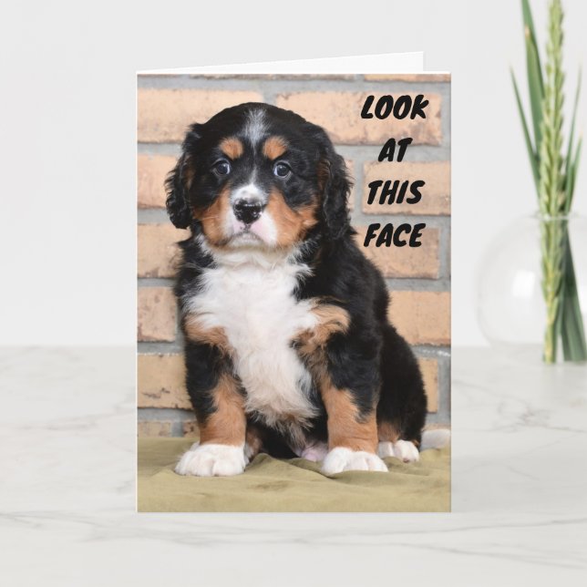 DET GÅR INTE ATT SÄGA I PERSON SÅ LEDSEN CHRISTMAS KORT (Framsida)