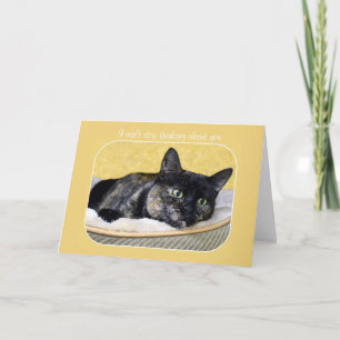 Det går inte att sluta tänka på Tortoiseshell Cat Kort
