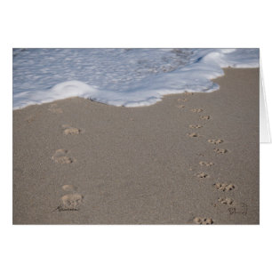 Det går inte att spara tid. Använd det klokt Hälsningskort