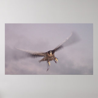 Det går inte att stoppa tunnan... poster