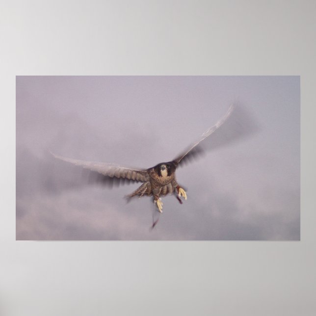 Det går inte att stoppa tunnan... poster (Framsidan)