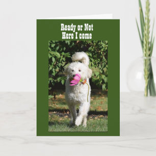 DET GÅR INTE ATT VÄNTA PÅ CELEBRAT **VÅRT ANNIVERS KORT