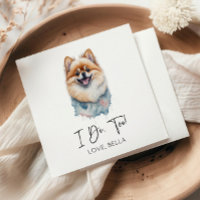 Det gör jag också! Pommern Hund Pet Bröllop