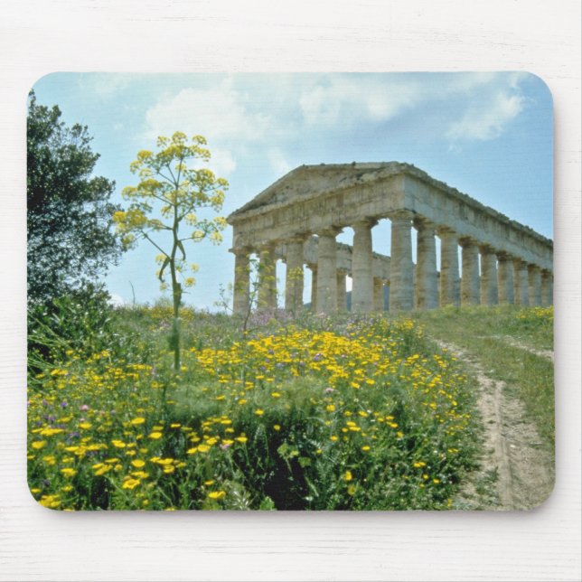 Det grekiska tempelet, Segesta, Sicily, italien Musmatta (Framsidan)