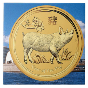 DET GULD- ÅRET AV GRISEN MYNTAR KAKELPLATTA