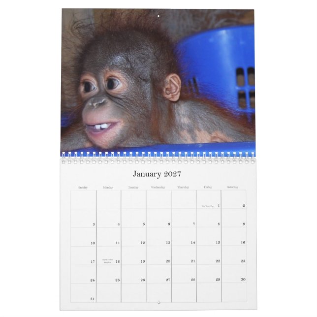 Det gulliga apadjurlivet behandla som ett barn kalender (Jan 2027)