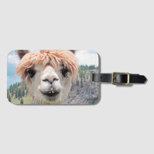 Det gulliga le Alpacafotoet avbildar Bagagebricka