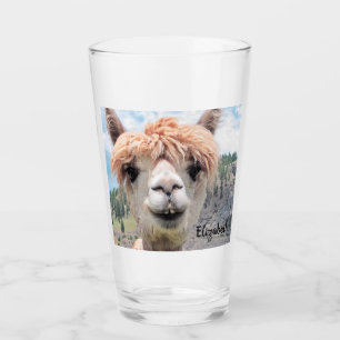 Det gulliga le Alpacafotoet avbildar Glaskopp