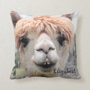 Det gulliga le Alpacafotoet avbildar Kudde