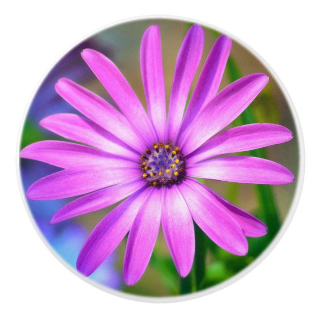 Det handlar om mig Daisy Ceramic Knob Knopp (Framsidan)